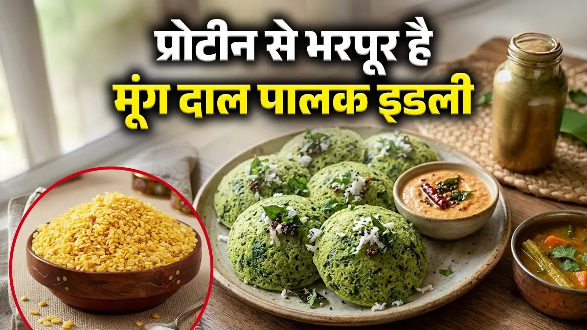 Moong Dal Palak Idli Recipe: 15 मिनट में तैयार करें प्रोटीन से भरपूर मूंग दाल-पालक इडली, नाश्ते के लिए है परफेक्ट; नोट करें विधि moong dal palak idli recipe for healthy breakfast high protein iron rich spinach