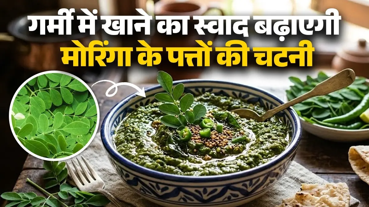 Moringa Ki Chutney Recipe: गर्मी में घर में बनाएं खट्टी-मीठी मोरिंगा के पत्तों की चटनी, खाने का स्वाद हो जाएगा दोगुना; नोट करें विधि moringa ke patto ki chutney recipe at home moringa leaves chutney sahjan ke patte