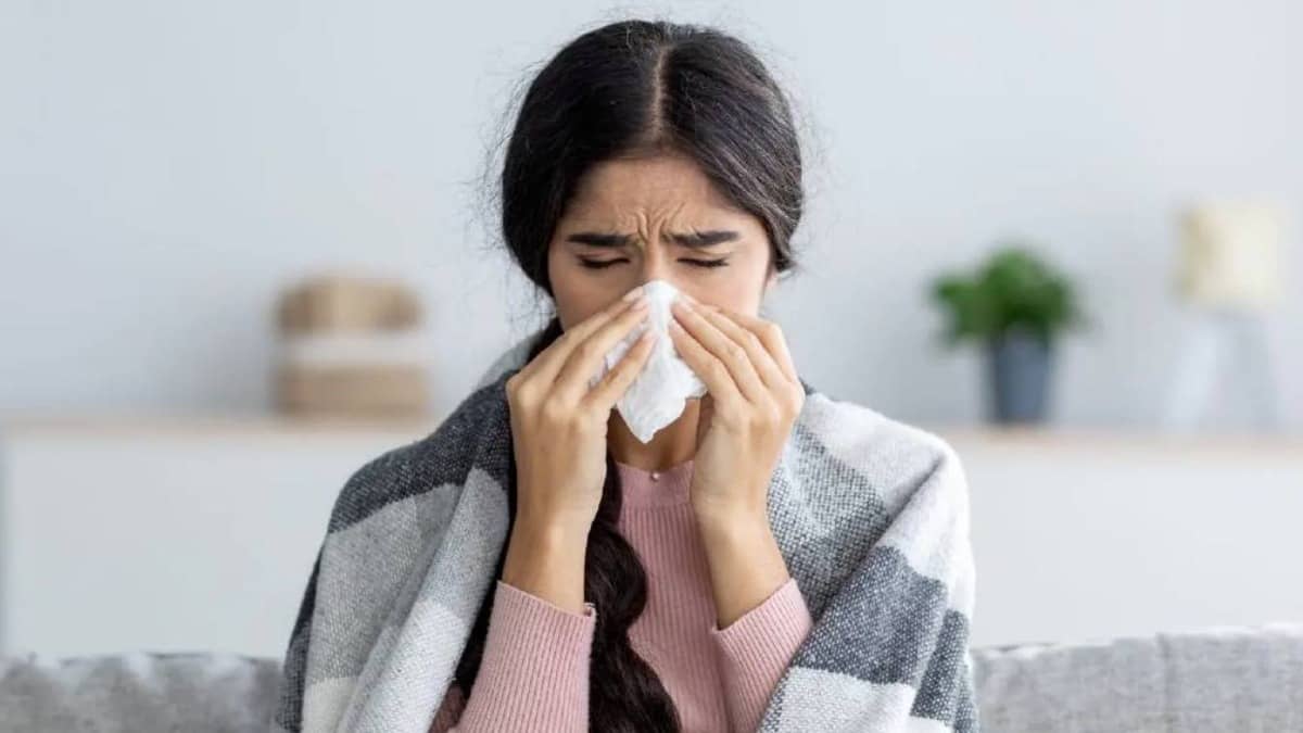 Mosquitoes cause various diseases during monsoon