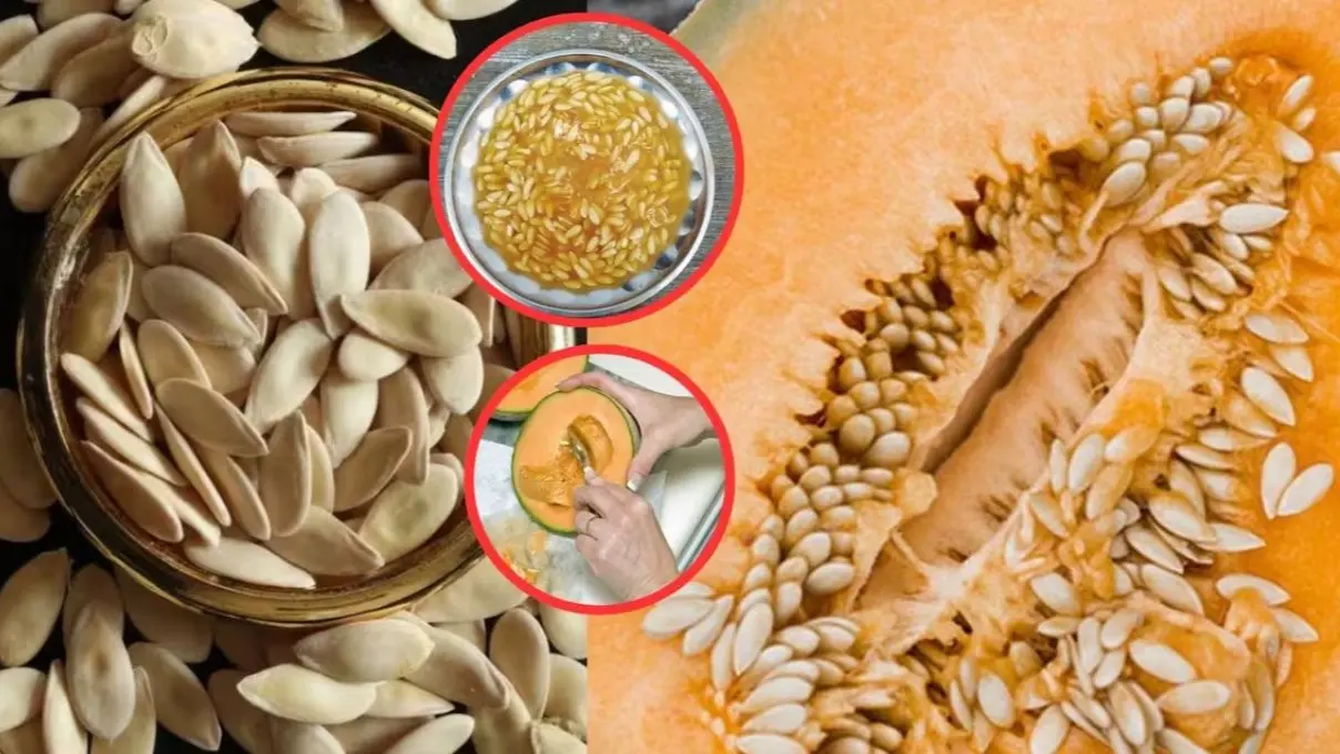 Muskmelon Seeds Uses: बड़े काम का है खरबूजे का बीज, घर पर ऐसे बनाएं ठंडा शरबत, सेहत के लिए बेहद फायदेमंद; जानिए रेसिपी muskmelon seeds drink