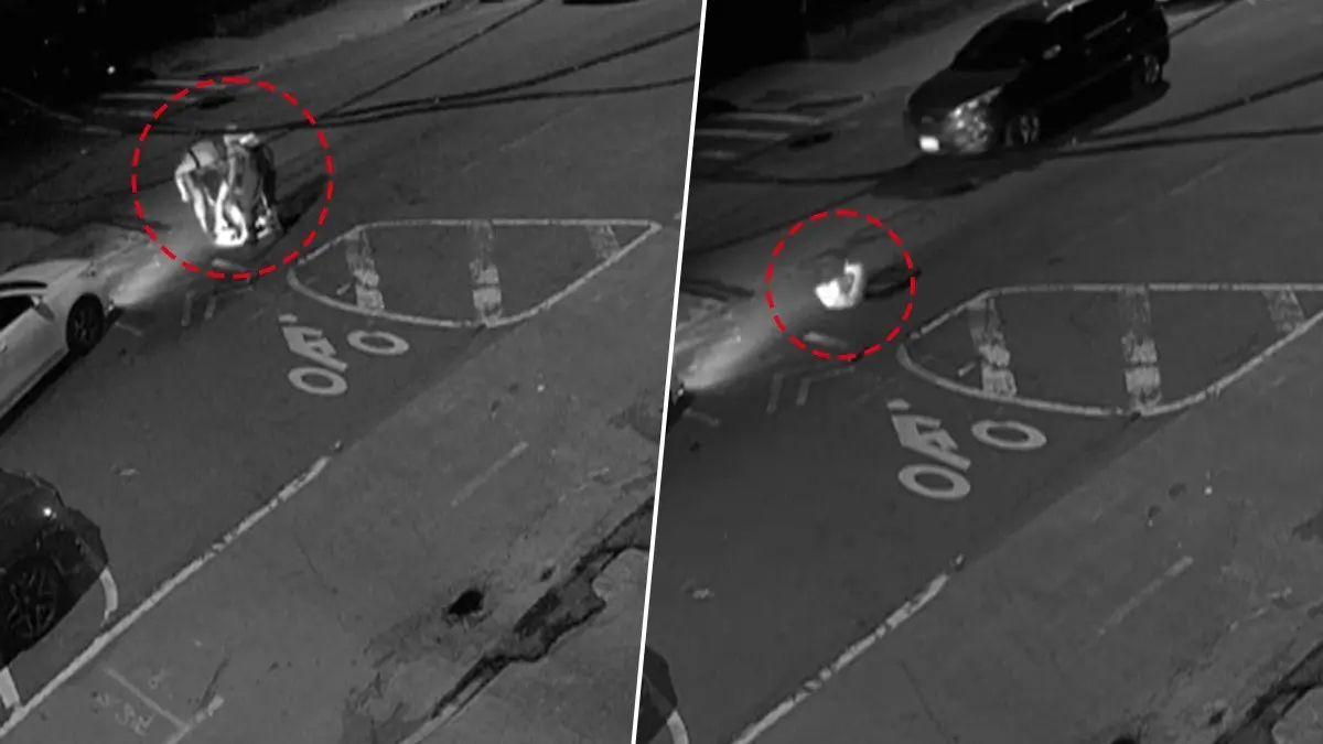 Mystery Deepens! Why Were People Crawling Through New York City Sewers? Insider Reveals The Underground Reality Mystery Deepens! Why Were People Crawling Through New York City Sewers? Insider Reveals The Underground Reality