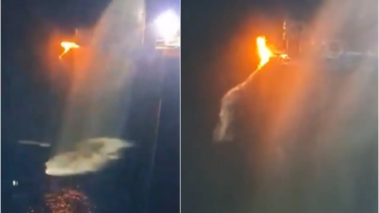 'Ocean of Opportunities': Natural Gas Discovered Off Andaman Islands At Depths Of 355 Metres | VIDEO