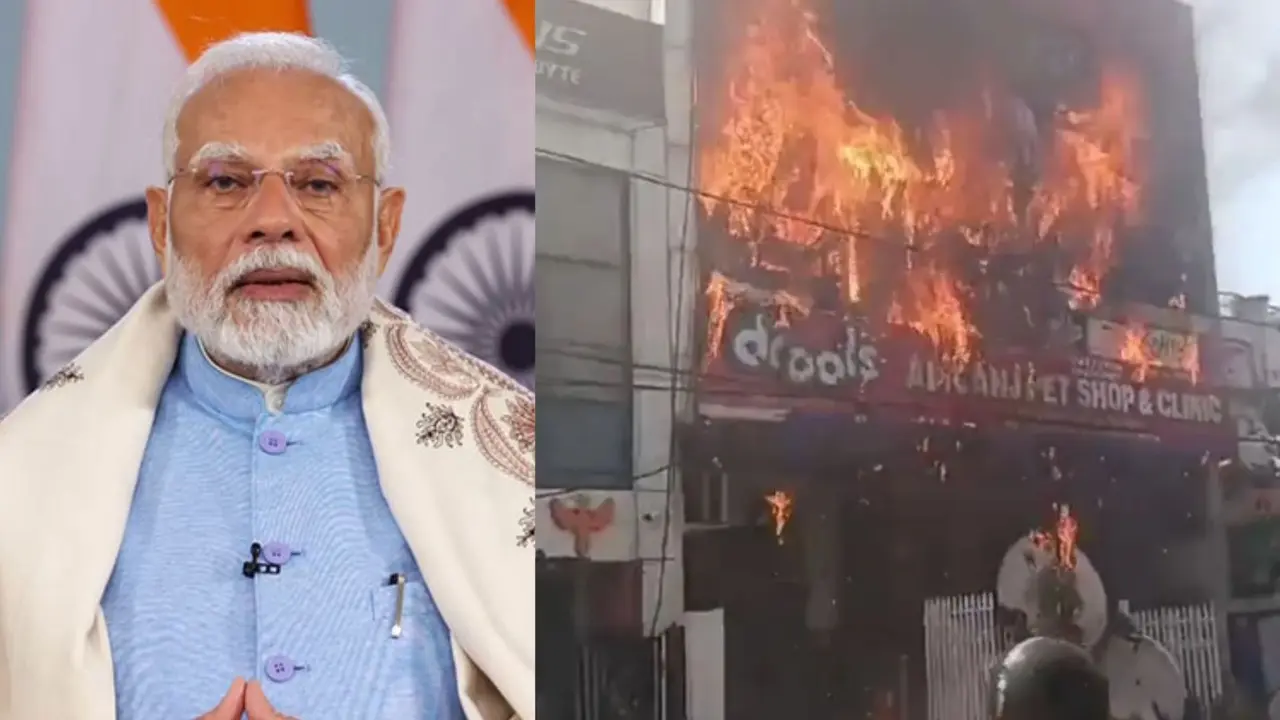कई खिड़कियों-बालकनी से कूदे, तो कुछ ने छत से लगाई छलांग... लखनऊ के कोचिंग सेंटर में कैसे लगी आग? धूं-धूं कर जली इमारत, PM मोदी ने जताया दुख PM Modi