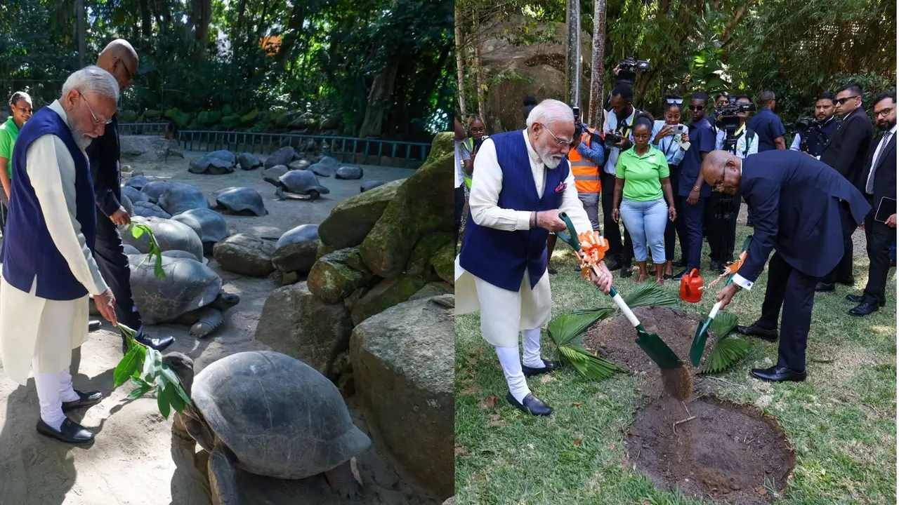 अल्दाबरा कछुओं से मिले, बॉटनिकल गार्डन में पेड़ लगाया... 11 साल बाद सेशेल्स पहुंचे PM मोदी, क्यों खास है ये दौरा? PM Modi Seychelles Visit