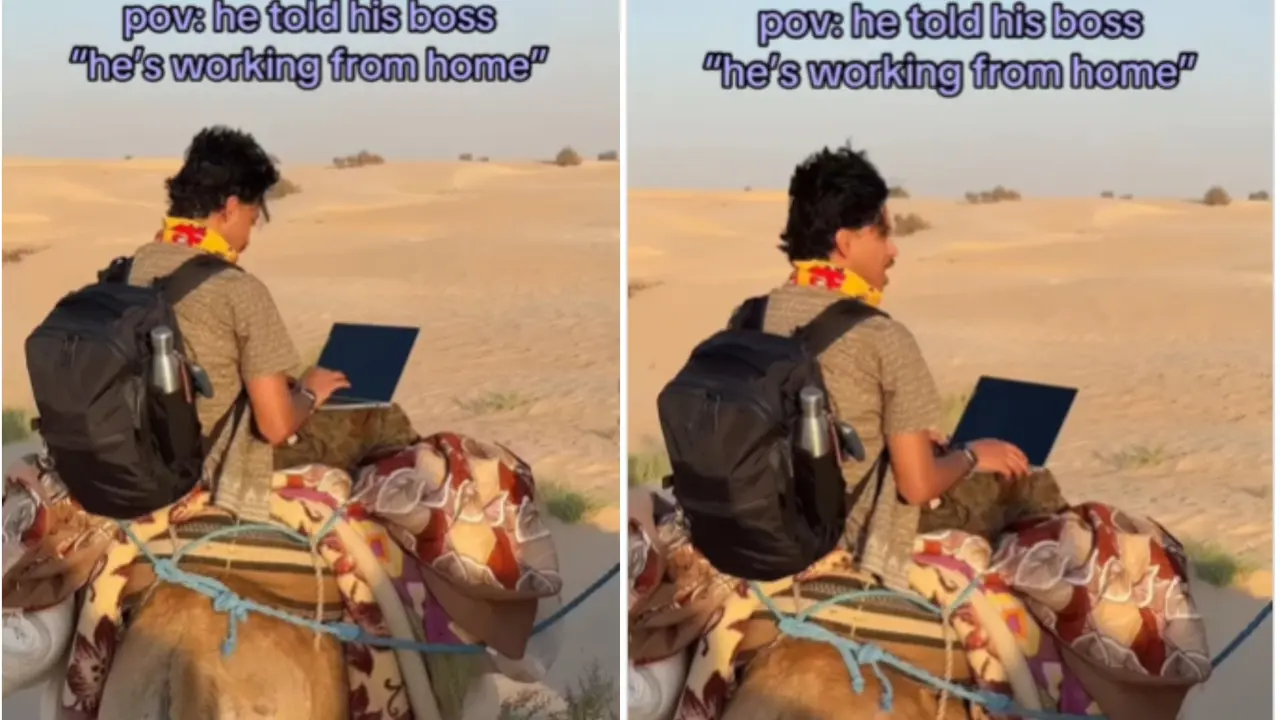 'POV: He Told Boss He's Working From Home': Man Works On Laptop While Riding Camel In Sahara Desert, Internet Can't Stop Laughing 'POV: He Told Boss He's Working From Home': Man Works On Laptop While Riding Camel In Sahara Desert, Internet Can't Stop Laughing