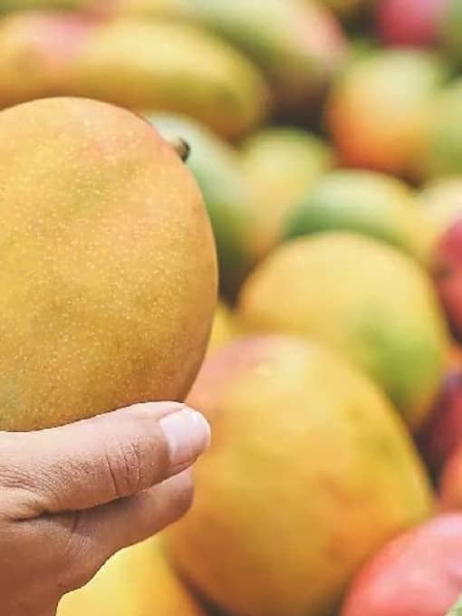 Safe Mango Buying Tips
