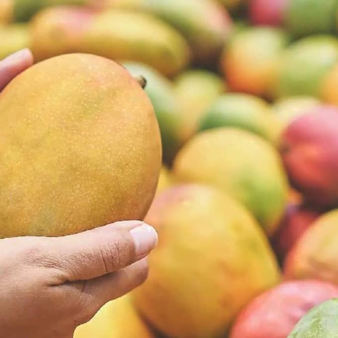 Safe Mango Buying Tips