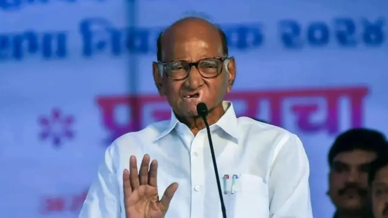 BREAKING: उद्धव गुट के बाद अब शरद पवार गुट में बगावत, कई MP-MLA सुनेत्रा पवार के संपर्क में; सूत्रों के हवाले से बड़ी खबर sharad pawar mps mlas in touch with Sunetra Pawar party sources said