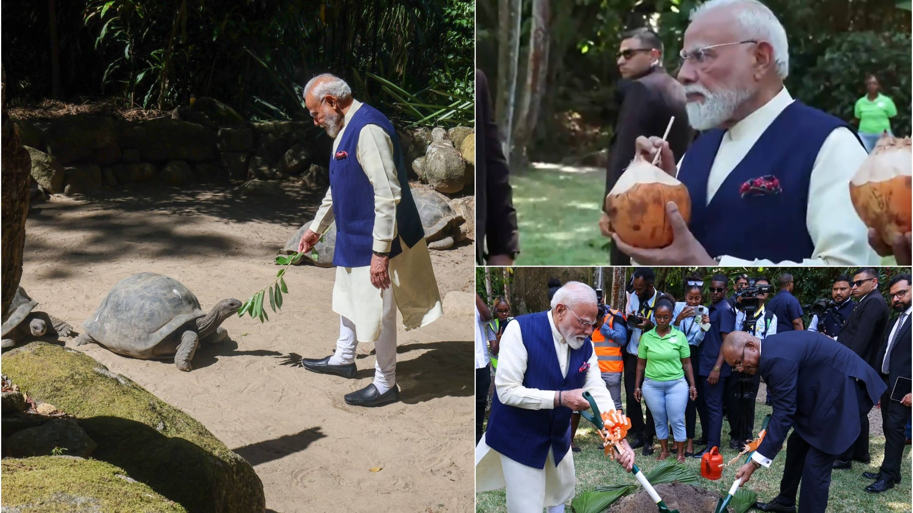 Sip Of 'Nariyal Paani', 'Ek Ped Maa Ke Naam' & Giant Tortoise Meet: All About PM Modi's Adventurous Trip To Seychelles Botanical Garden