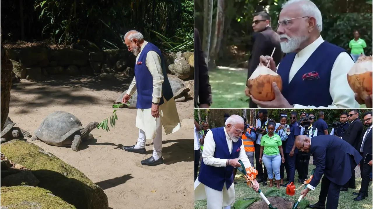 Sip Of 'Nariyal Paani', 'Ek Ped Maa Ke Naam' & Giant Tortoise Meet: All About PM Modi's Adventurous Trip To Seychelles Botanical Garden Sip Of 'Nariyal Paani', 'Ek Ped Maa Ke Naam' & Giant Tortoise Meet: All About PM Modi's Adventurous Trip To Seychelles Botanical Garden