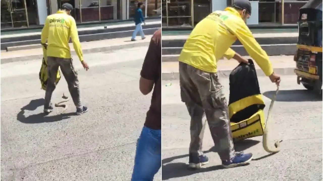 'Is That My Ex?' Snake Falls From Blinkit Delivery Boy's Bag On Busy Mumbai Road, Video Goes Viral Snake Home Delivery? Reptile Falls From Blinkit Boy's Bag On Busy Mumbai Road, Video Goes Viral