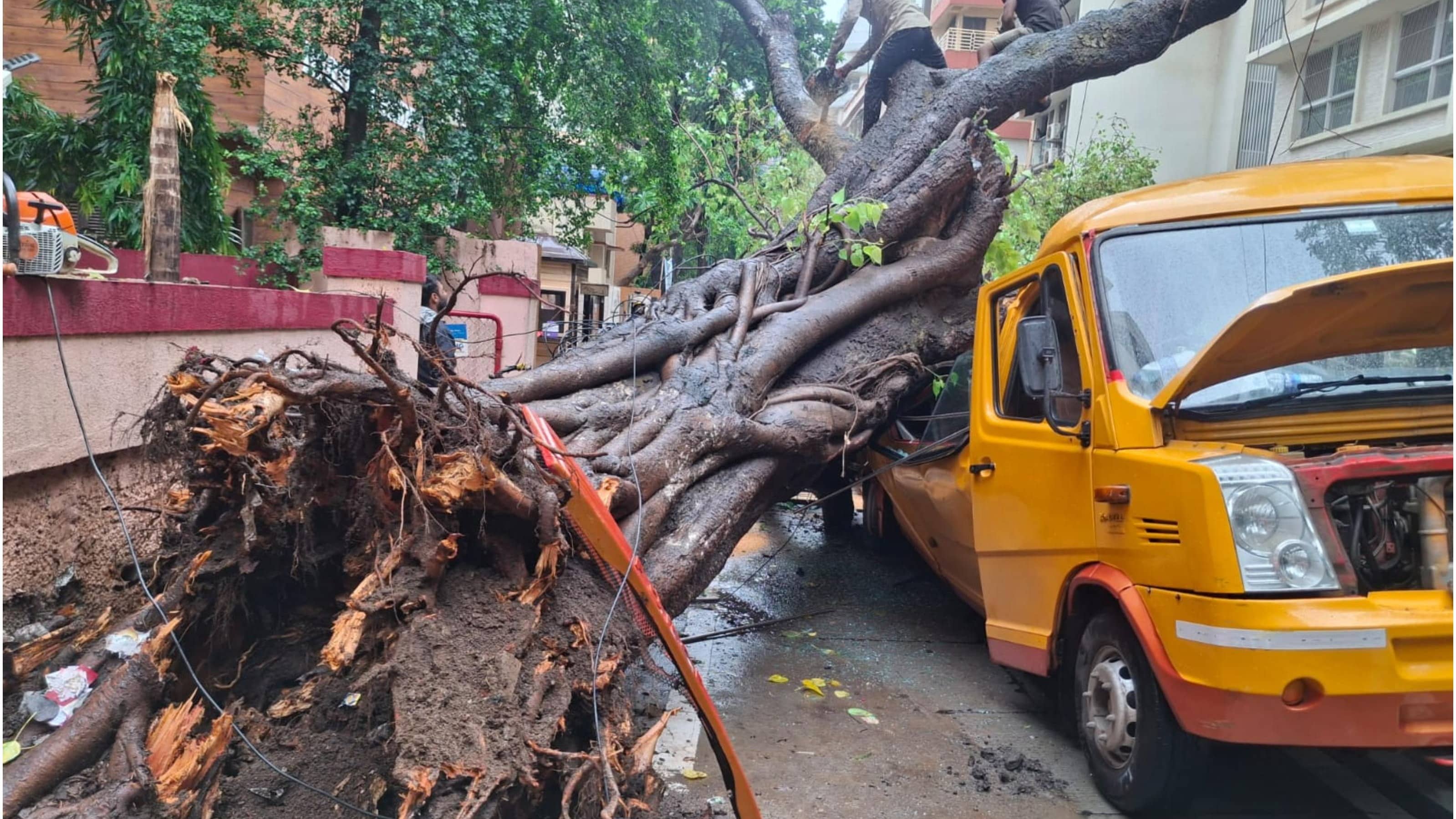 Student Killed, 10 Other Kids Injured As Tree Collapses On Mumbai School Van