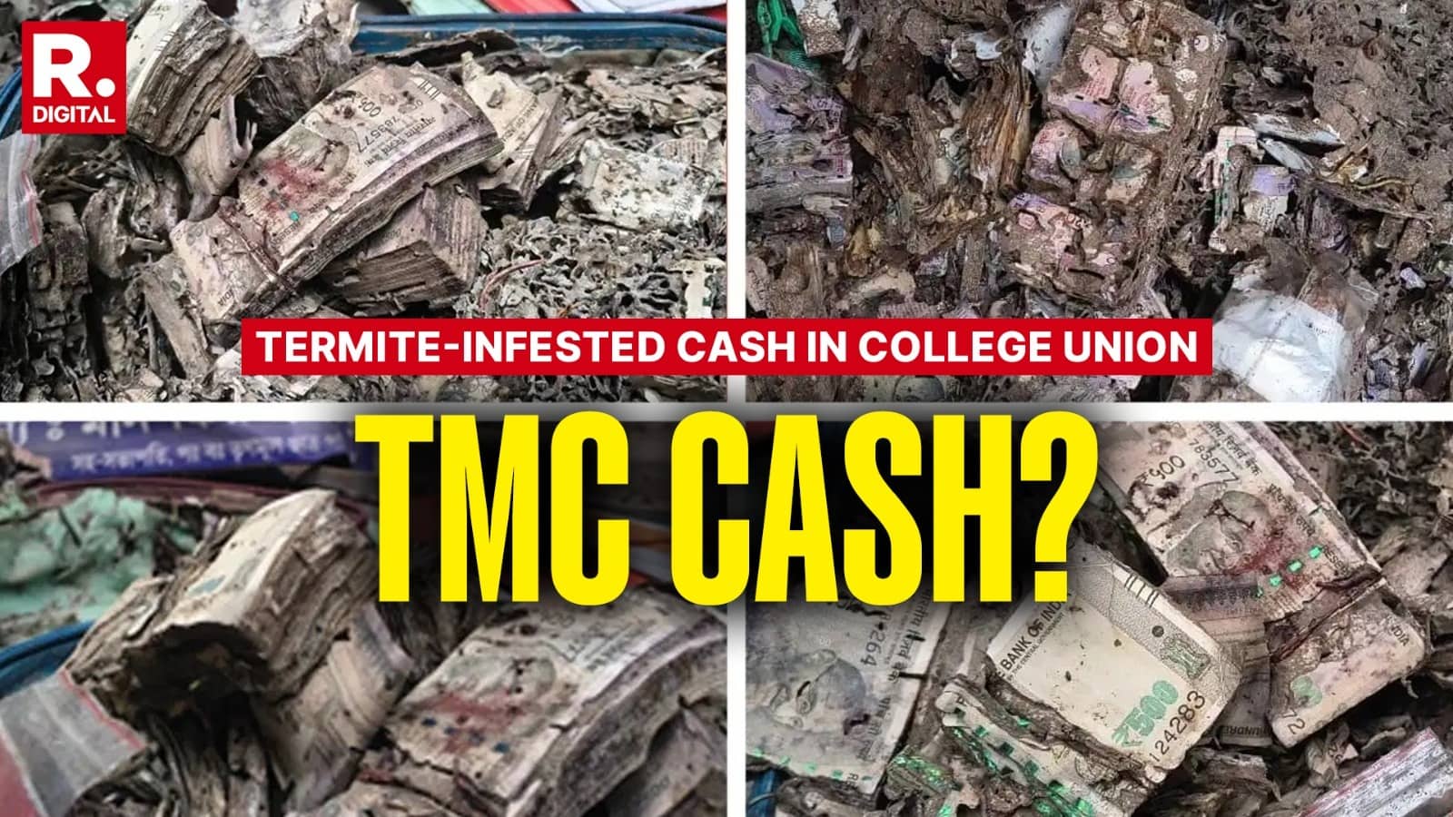 Termites Eat Rs 1 Lakh Cash Stashed In 'Secret Room' Of Kolkata's Surendranath College; Pics Go Viral