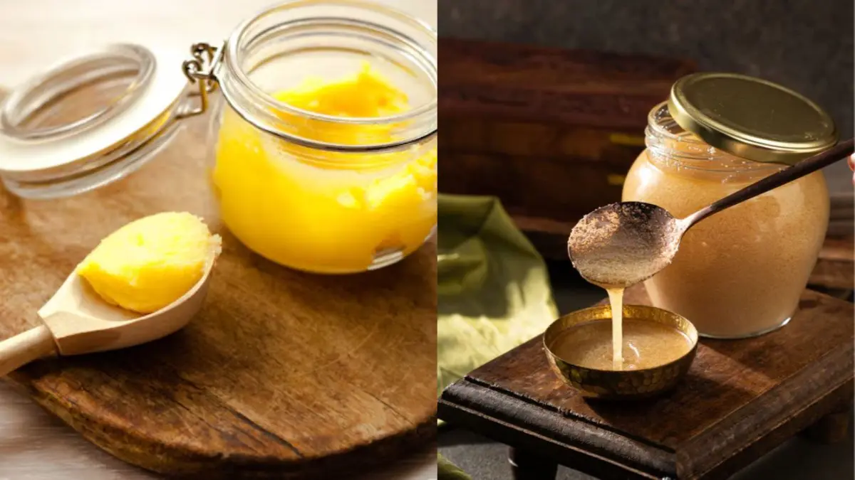 Cow Ghee vs Buffalo Ghee: Which One Is Better For Health? Cow Ghee Vs Buffalo Ghee