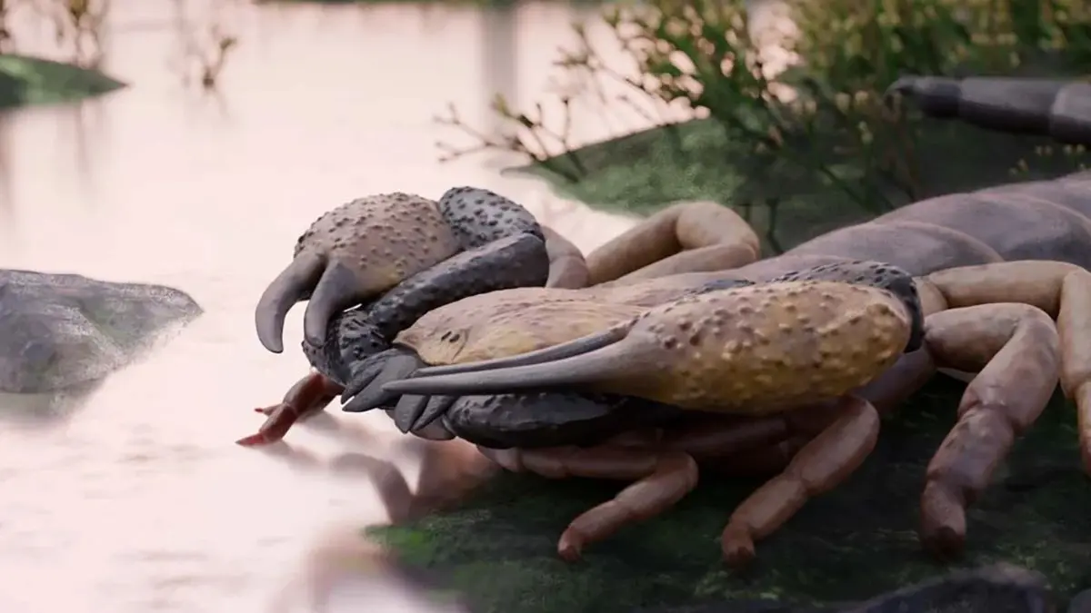 Praearcturus Gigas - World’s Largest Scorpion Identified And It Was The Size Of A Dog Over 3 Feet Long World's largest scorpion