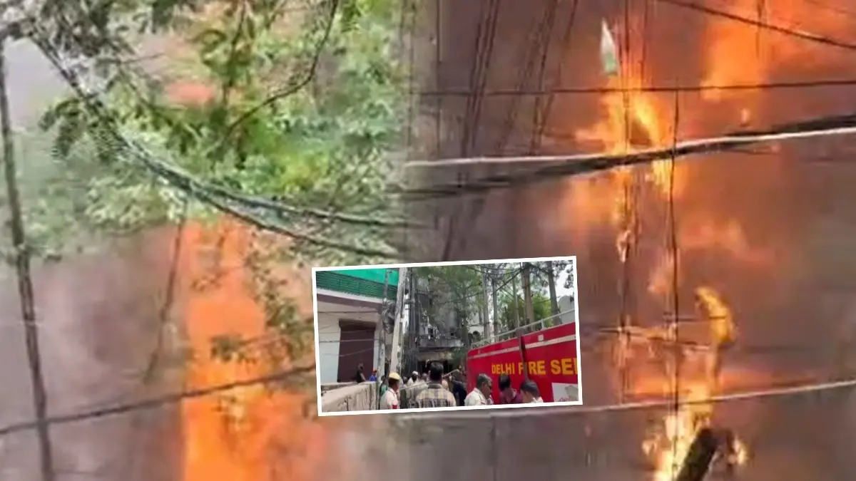 South Delhi Tragedy: 21 Killed, 37 Injured As Massive Blaze Engulfs Hotel In Malviya Nagar; PM Announces Ex Gratia X