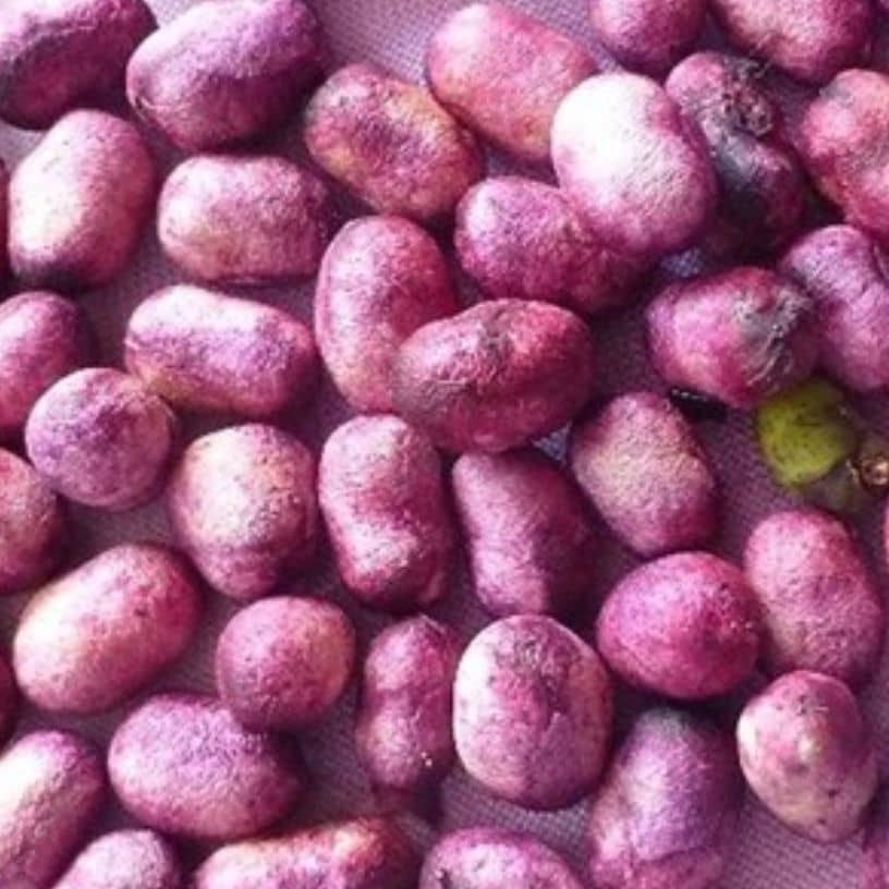 तस्वीर का विवरण