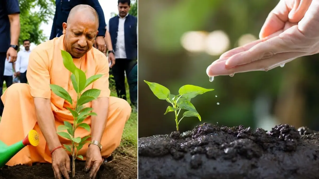 UP में आज 35 करोड़ पौधे लगाए जाएंगे, मुख्यमंत्री योगी आदित्यनाथ गोरखपुर में पौधा रोपकर करेंगे अभियान की शुरुआत 35 करोड़ पौधे लगाएंगे, CM योगी गोरखपुर में रोपेंगे ‘एक पेड़ मां के नाम’