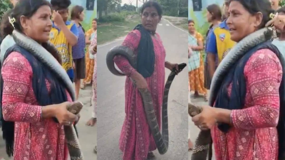 A 10-foot venomous cobra around her neck  Bihar's 'Snake Lady' will leave you stunned video goes viral 