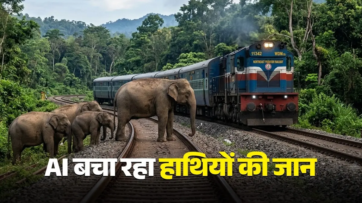 AI के जरिए हाथियों की जान बचाने में मिली बड़ी सफलता, भारत के इस राज्य में पिछले ढाई साल में एक भी मौत नहीं, जानिए कैसे काम करता है ये सिस्टम AI Saves Elephants Life