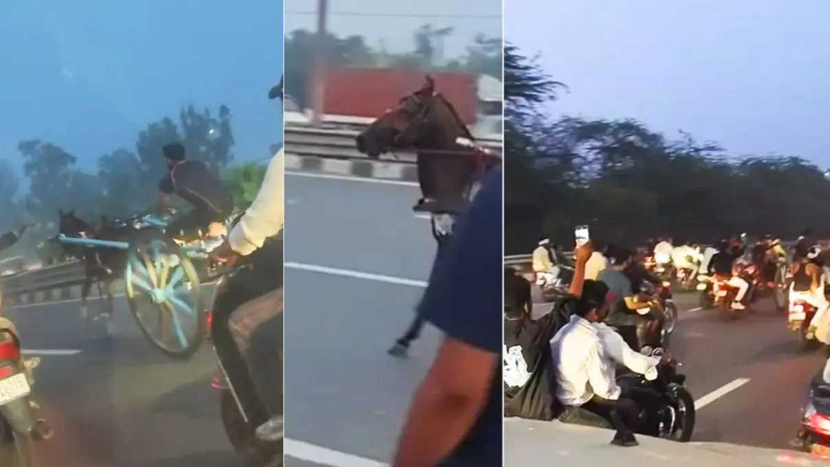 दिल्ली में GT करनाल नेशनल हाईवे पर घोड़े-गाड़ी की रेस, पुलिस ने लिया एक्शन; जानें क्या है पूरा मामला Alipur GT Karnal Road Illegal Horse Cart Race