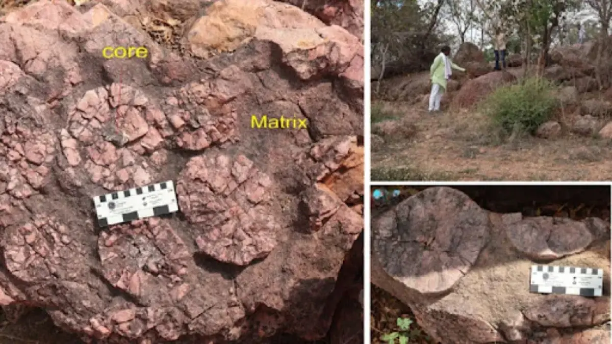 2.5-Billion-Year-Old 'Time Capsule' Discovered: Earth's Second-Oldest Orbicular Rock Found In MP Billion-Year-Old 'Time Capsule' Uncovered: Central India Home to Earth's Second-Oldest Orbicular Granite