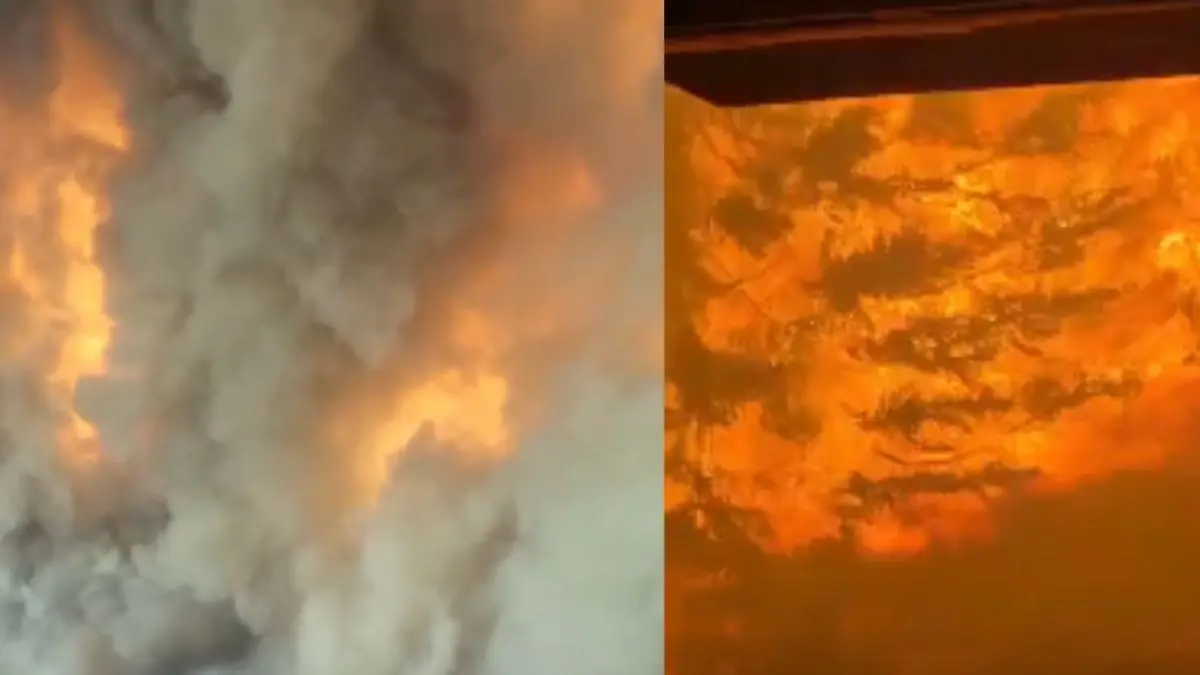 Canada Fire: कनाडा के जंगलों में लगी भीषण आग की चपेट में आई ट्रेन, वायरल हुआ खौफनाक Video, दहशत में लोग; अमेरिका में भी रेड अलर्ट जारी Canada ablaze horrifying videos go viral on social media red alert issued in the US as well air quality warnings