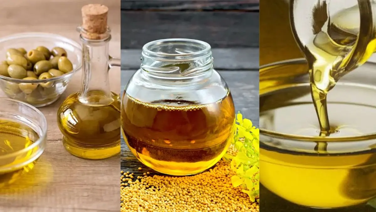 Cooking Oil: सरसों का तेल, ऑलिव या रिफाइंड ऑयल... घर में खाना बनाने के लिए कौन सा तेल सही है? Cooking Oil vs Mustard Oil which is good for your health kon sa tel aapki sehat ke liye accha hai