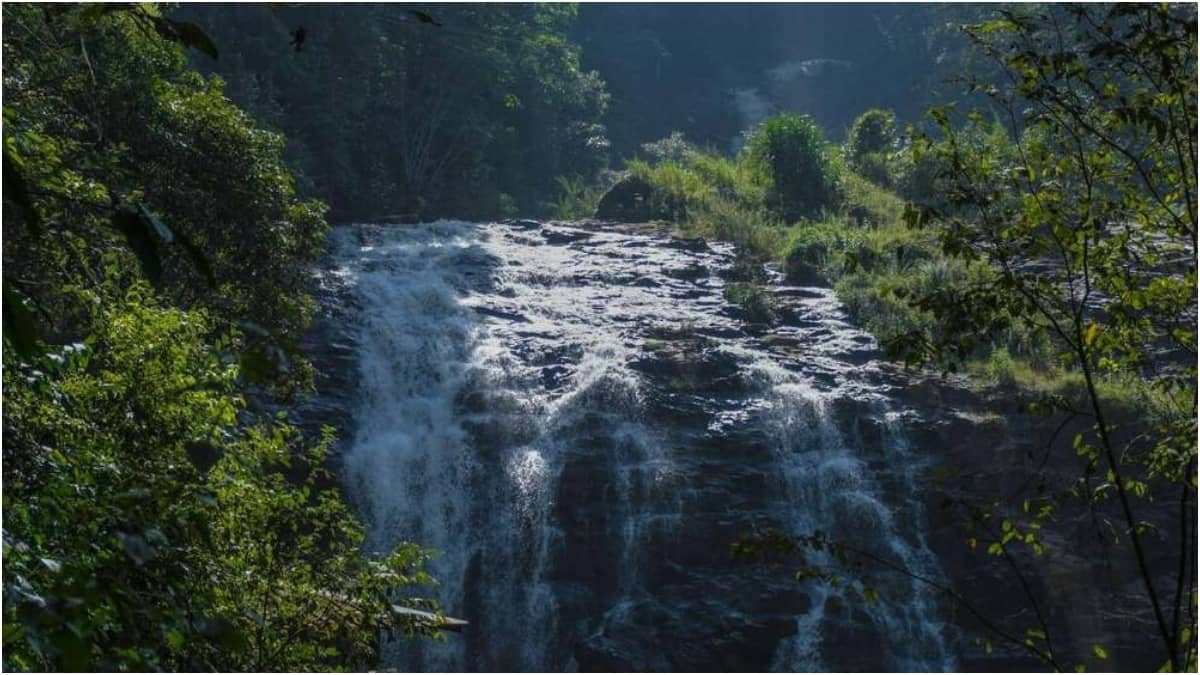 Coorg is a popular travel destination for its natural beauty