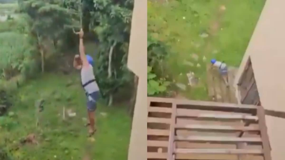 Dandeli Zipline Accident: Tourist Plunges 40 Feet at Karnataka Resort