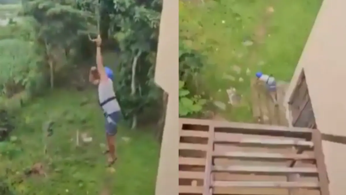 Tourist Plunges 40 Feet After Zipline Snaps at Karnataka Resort; Suffers Severe Injuries Dandeli Zipline Accident: Tourist Plunges 40 Feet at Karnataka Resort