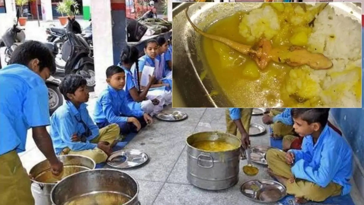 Delhi: हरि नगर के सर्वोदय विद्यालय में मिड-डे-मील में छिपकली मिलने से स्टूडेंट्स में हड़कंप, सैंपल जांच के लिए भेजे Dead lizard in school mid day meal