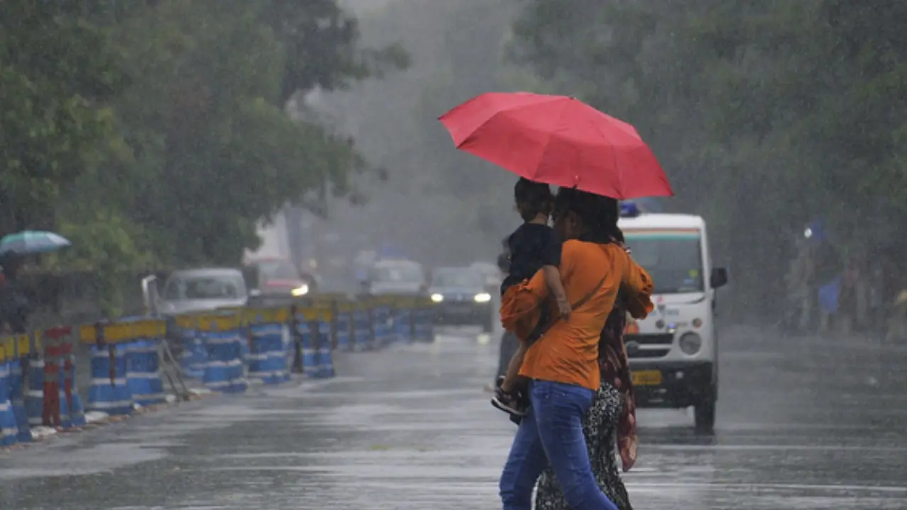 Delhi-NCR Rain: दिल्ली-NCR में रातभर मूसलाधार बारिश से सड़कें बनी तालाब, जगह-जगह जलभराव और ट्रैफिक ठप; जानें आज कैसा रहेगा मौसम का हाल Delhi Rain