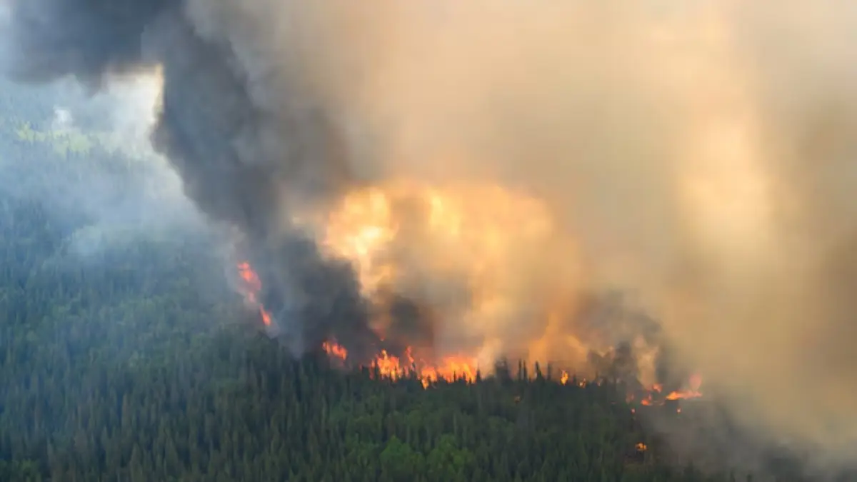 Donald Trump Blames Canada for 'Totally Unacceptable' Toxic-Filthy Wildfire Smoke, Vows Tariff Penalty Donald Trump Blames Canada for 'Totally Unacceptable' Toxic-Filthy Wildfire Smoke, Vows Tariff Penalty