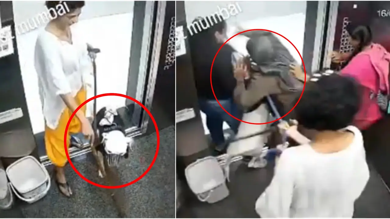 Elevator Nightmare: Vicious Pet Dog Lunges at Trapped Girls in Mumbai Society Lift, Horrifying CCTV Footage Goes Viral Elevator Nightmare: Vicious Pet Dog Lunges at Trapped Girls in Mumbai Society Lift, Horrifying CCTV Footage Goes Viral