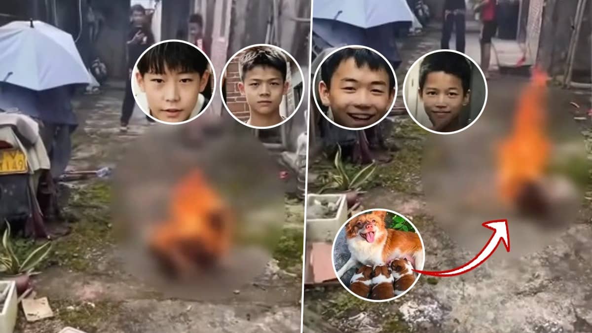 https://img.republicworld.com/all_images/2026/07/her-smell-is-appetising-minor-boys-set-mother-dog-on-fire-abused-her-puppies-in-china-video-sparks-outrage-video-1784096200404-1280x720.webp?tr=f-jpeg