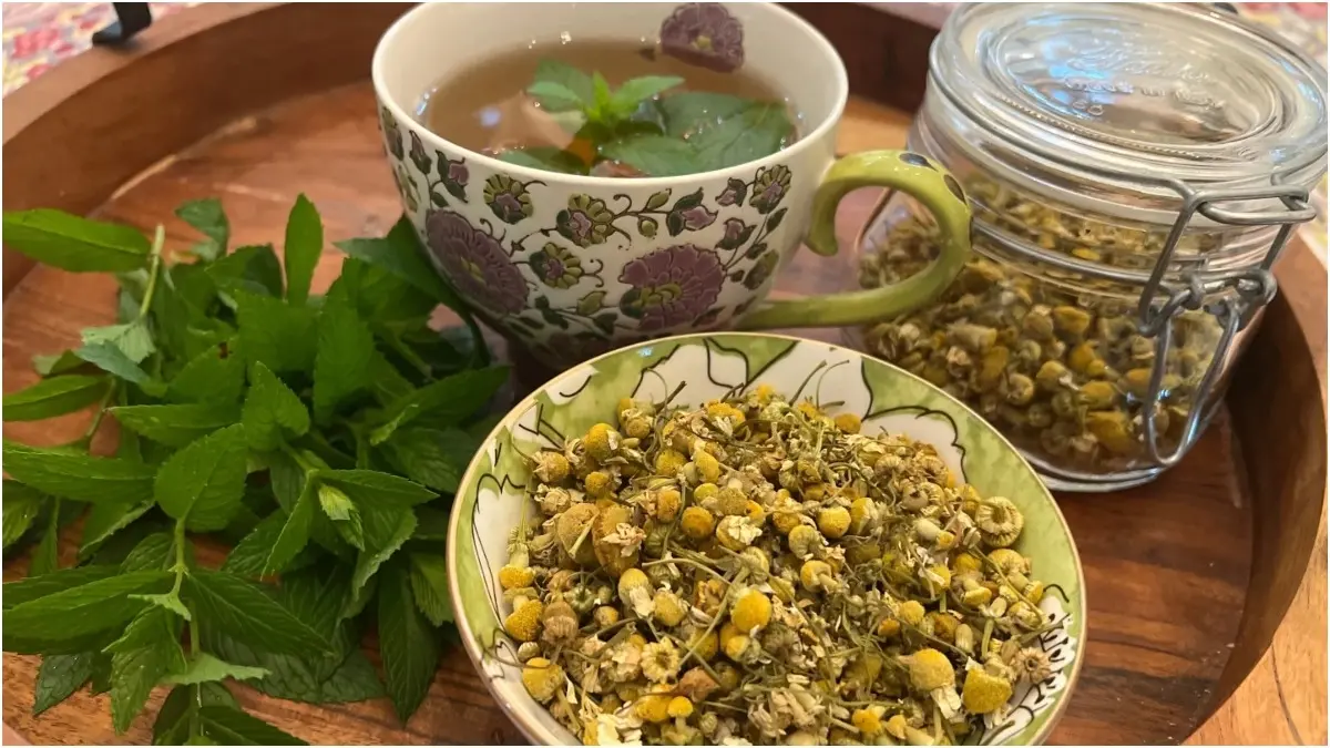 How And Which Herbs To Grow In Your Home Garden For Herbal Tea Herbal tea relaxes the body