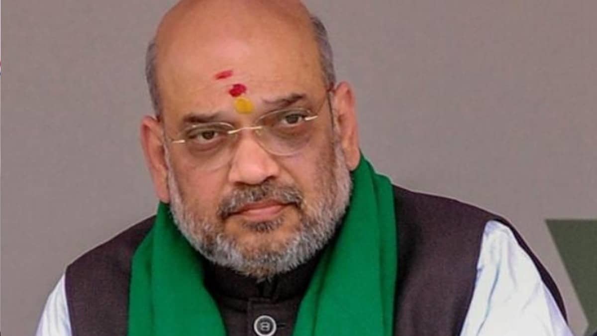 India's Demography Mission: High-Level Committee on Demographic Changes Meets Amit Shah, Outlines Field Visits