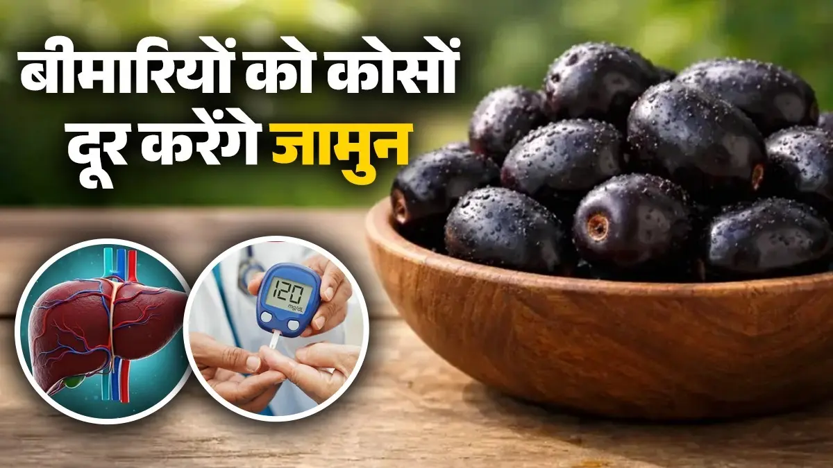 Jamun ke Fayde: 2 महीने तक लगातार जामुन खाकर देखिए, शुगर होगी कंट्रोल, लिवर हो जाएगा मजबूत; कई बीमारियां कोसों भागेंगी दूर jamun-health-benefits-sugar-control-liver-health boosts immunity jamun khane ke fayde