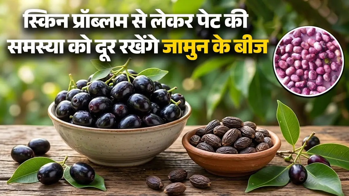 Jamun Seeds Uses: बेकार समझकर फेंके नहीं जामुन के बीज, घर में कई तरह से कर सकते हैं यूज; स्किन से लेकर गार्डनिंग तक में मददगार jamun-seeds-benefits-health-skin-gardening-uses know how to make jamun powder at home