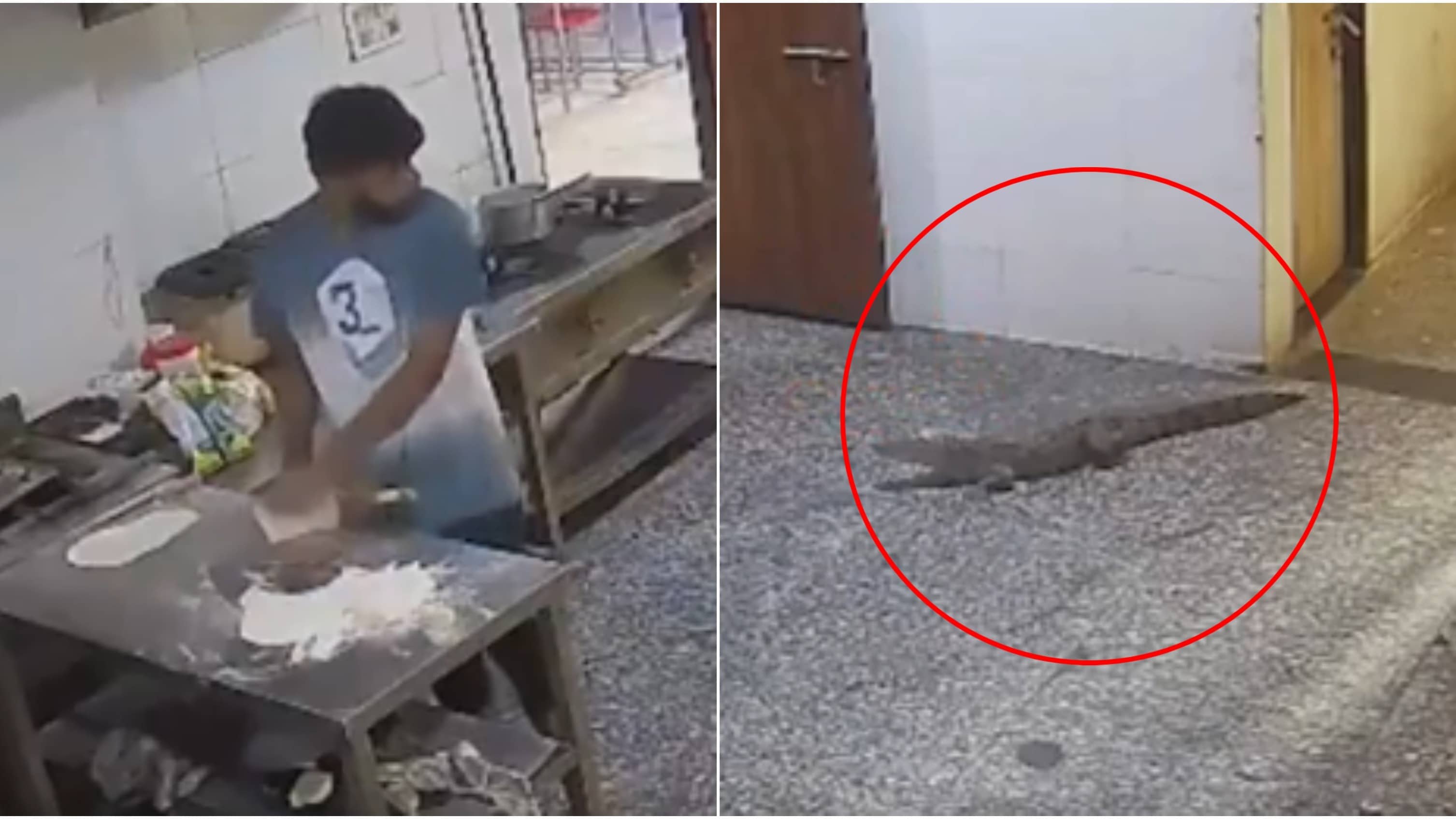 Jaw-Dropping Intruder: 5-Foot-Long Crocodile Slithers Into Kota Boys Hostel, CCTV Video Captures Men Scurrying Away In Fear