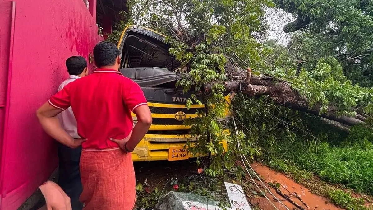 कर्नाटक में बड़ा हादसा: बच्चों को ले जा रही स्कूल बस पर गिरा पेड़, एक बच्चे की मौत, कई घायल Karnataka school bus accident 1 child dead