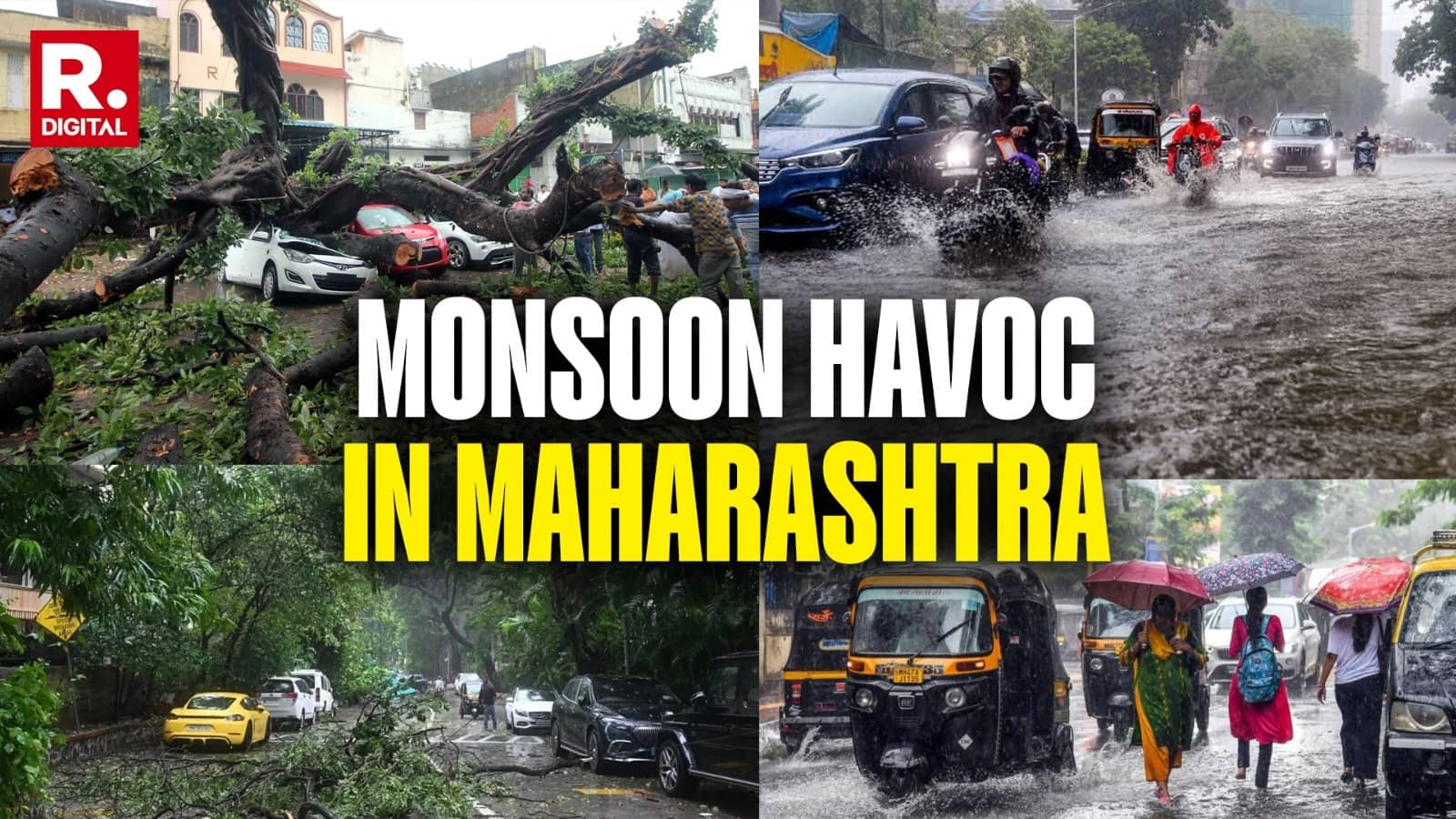 Kurla Tree Collapse Tragedy: Mumbai Mayor Ritu Tawde Announces Rs 5 Lakh Ex Gratia For 63-Year-Old Victim's Family