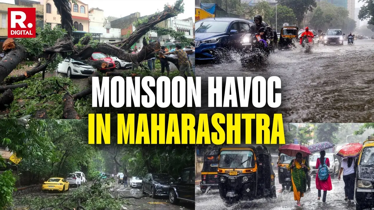 Kurla Tree Collapse Tragedy: Mumbai Mayor Ritu Tawde Announces Rs 5 Lakh Ex Gratia For 63-Year-Old Victim's Family Kurla Tree Collapse Tragedy: Mumbai Mayor Ritu Tawde Announces Rs 5 Lakh Ex Gratia For 63-Year-Old Victim's Family