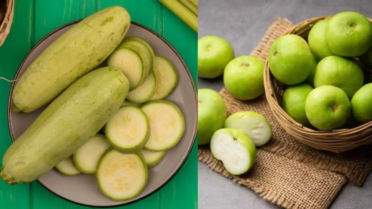 Lauki vs Tinda: तपती गर्मी में रखना है खुद को हाइड्रेटेड, तो लौकी और टिंडे में से कौन सी सब्जी है ज्यादा फायदेमंद? lauki vs tinda