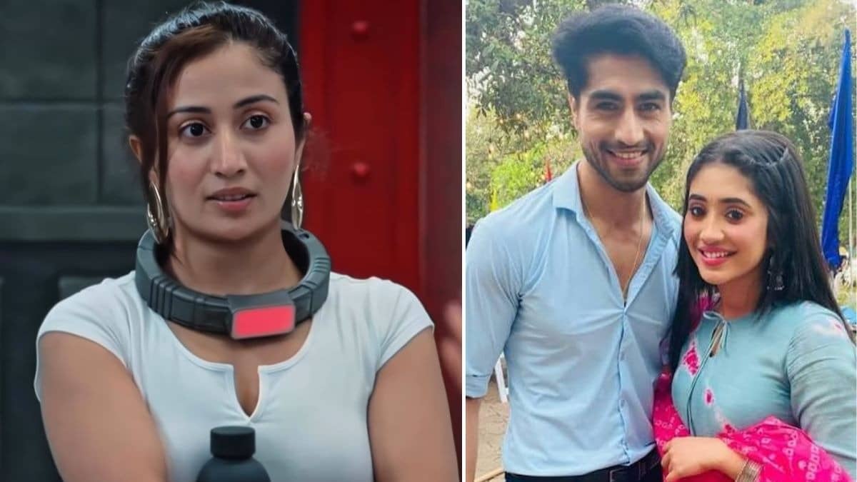 "शिवांगी फ्लॉप, हर्षद बेरोजगार..." 'Lock Upp 2' में श्रेया के बयान पर बुरी तरह भड़के टीवी एक्टर; कहा- 'तुम्हें कोई जानता तक नहीं है'