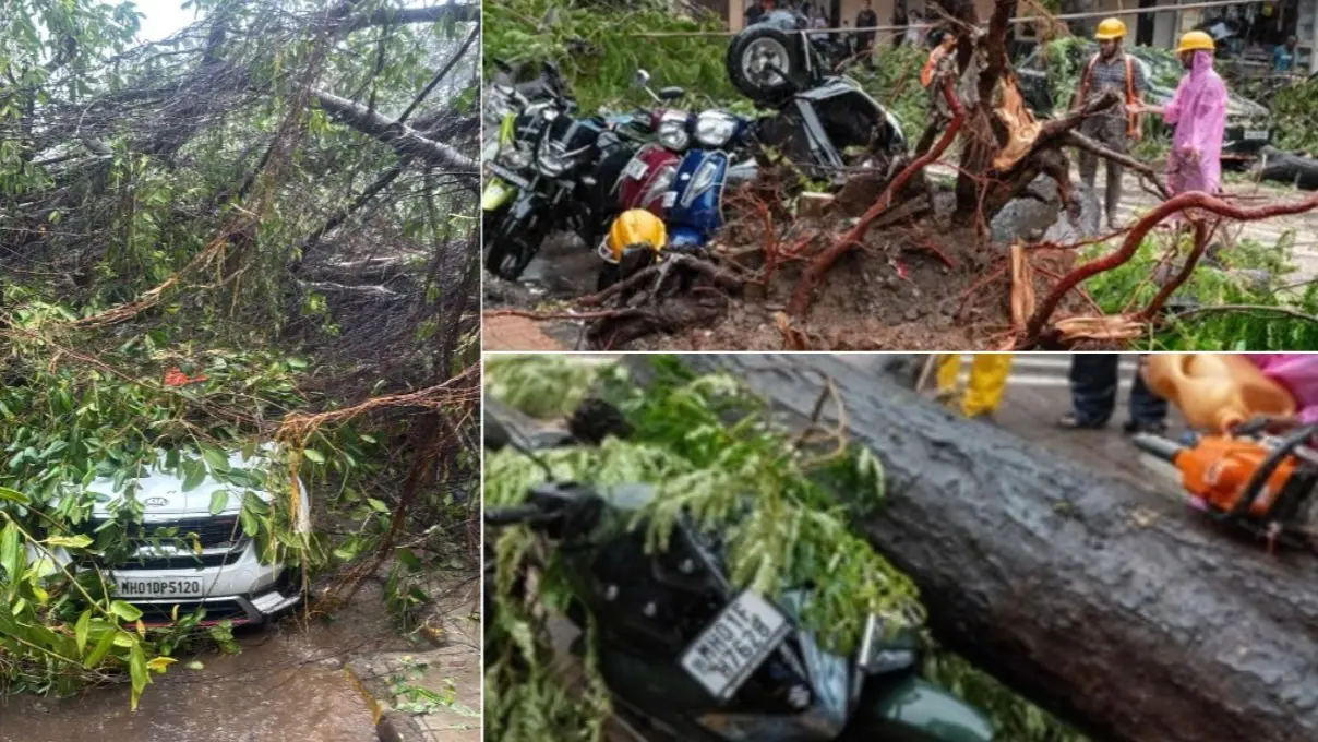 मुंबई में भारी बारिश ने मचाई तबाही, अलग-अलग जगहों पर 5 पुराने पेड़ गिरे; एक बुजुर्ग की मौत, दीवार गिरने से 2 लोग दबे Maharashtra monsoon updates