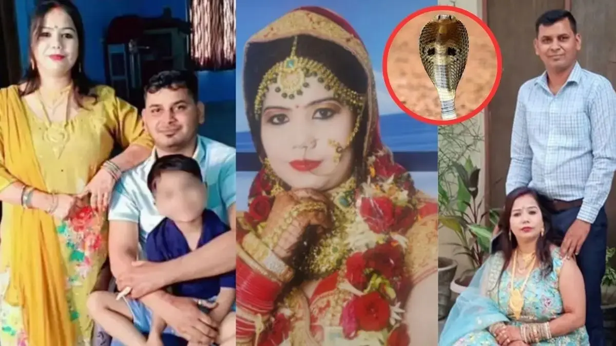 दूध में मिलाई नींद की गोलियां, फिर पति को सांप से डंसवाया... दामिनी को कौन लाकर देता था नशीली गोलियां? पुलिस ने इस शख्स को किया गिरफ्तार meerut snake murder case
