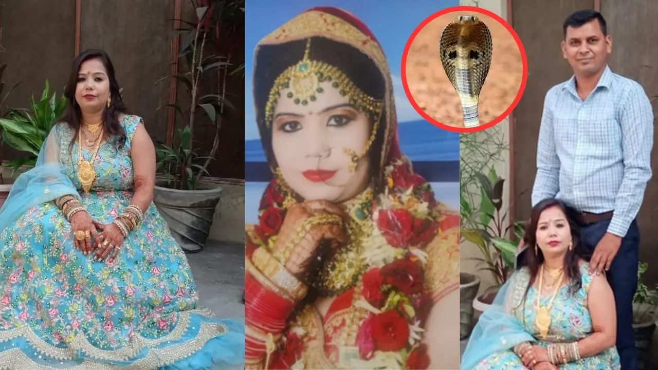 ड्राइवर से इश्क, नींद की गोली और...पत्नी ने प्रेमी संग मिल पति को सांप से डसवाकर मार डाला, नीले ड्रम वाली से भी शातिर निकली मेरठ की दामिनी meerut wife along with her lover use snake to kill husband give slipping pills in milk