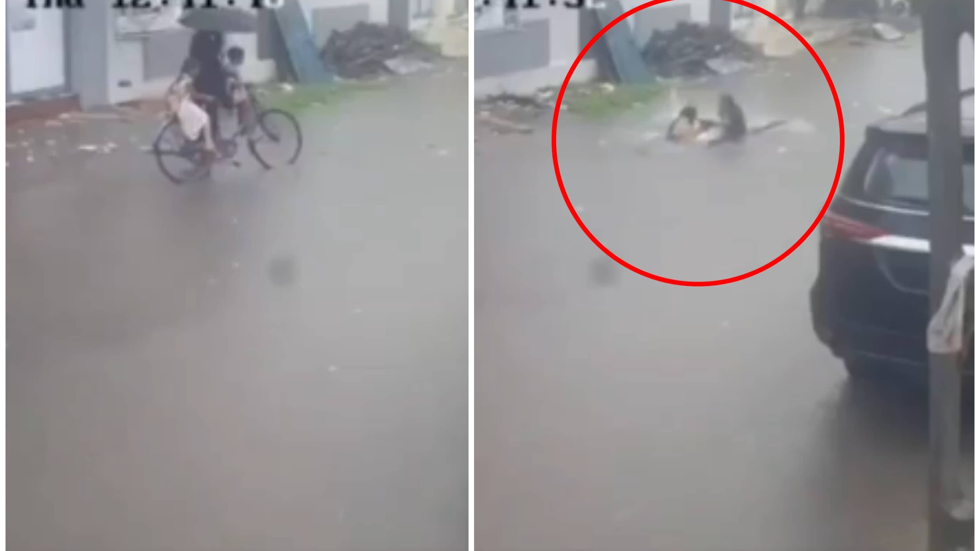 Miracle Escape: Terrifying CCTV Video Shows Man And Children Plunging Into Invisible Open Manhole In Gujarat